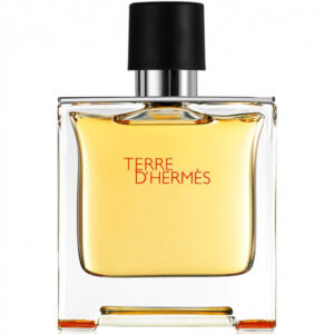 ادکلن مردانه تق هرمس ادوتویلت 100 میل اورجینال | Hermes Terre